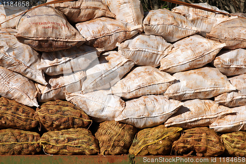 Image of Cassava bags