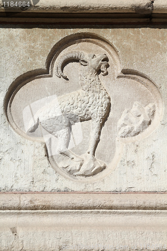 Image of Capricorn