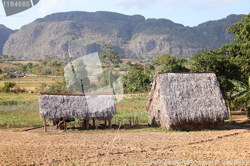 Image of Cuba - Vinales