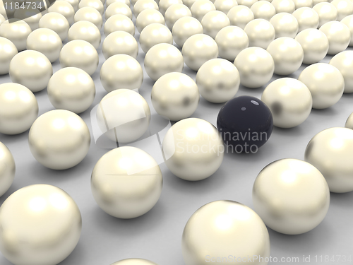 Image of Black extraordinary pearl among white ones