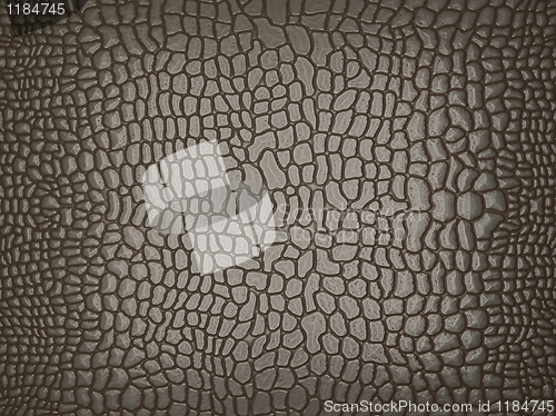 Image of Grey Alligator skin: useful as texture or background