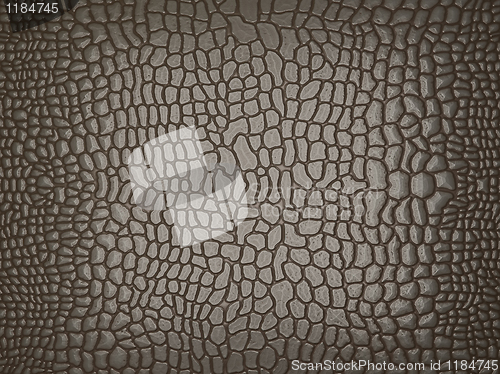 Image of Grey Alligator skin: useful as texture or background