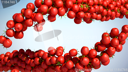 Image of Tasty fresh Tomatoe Cherry flows
