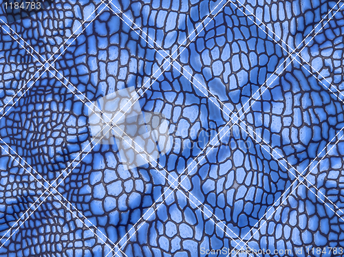 Image of Blue Alligator skin with stitched rectangles
