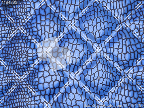 Image of Blue Alligator skin with stitched rectangles