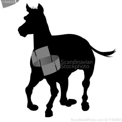 Image of horse silhouette isolated on white