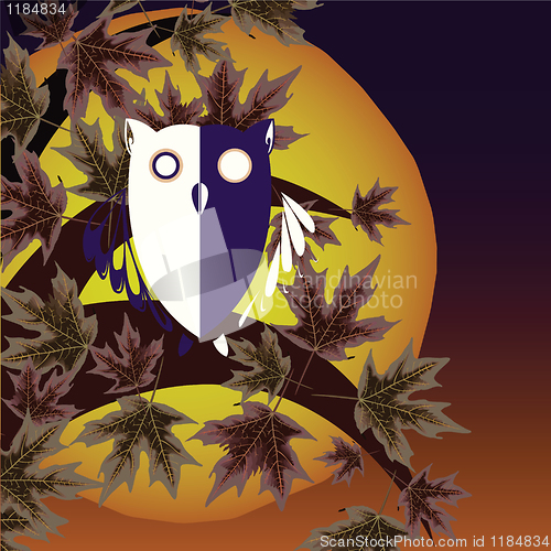 Image of owl and tree background