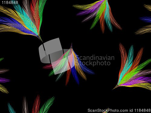 Image of feathers fan seamless pattern