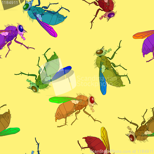 Image of flies pattern