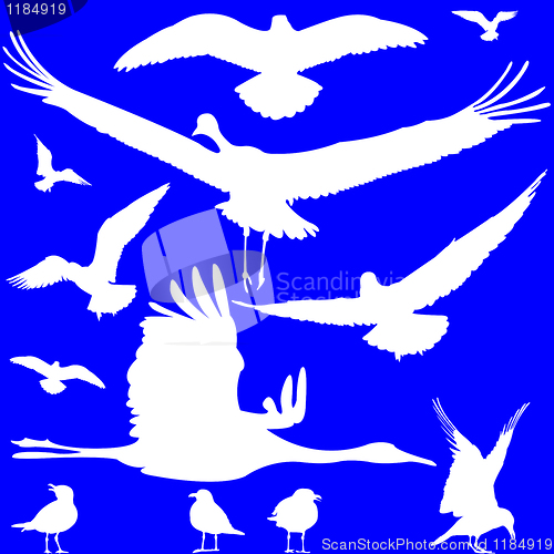 Image of white birds silhouettes over blue