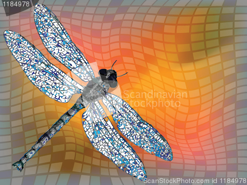 Image of dragon fly