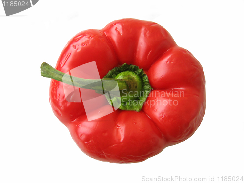 Image of red sweet pepper