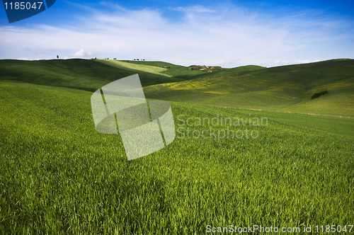 Image of Tuscany landscape