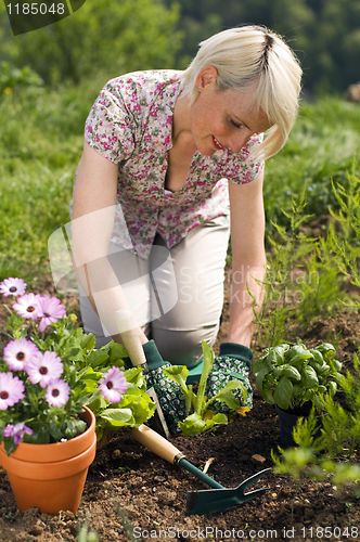 Image of Gardening