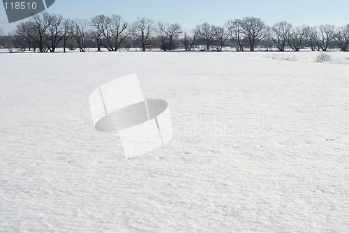 Image of Snow field