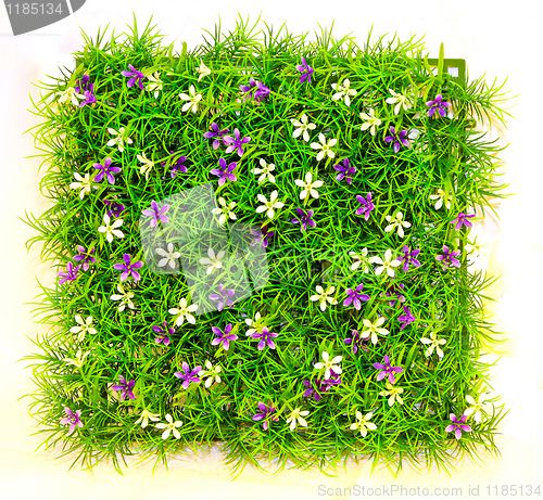 Image of Grass square