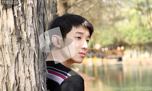 Image of Portrait of relaxing man on tree enjoying golden autumn fall sea