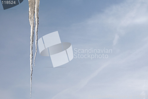 Image of Icicle