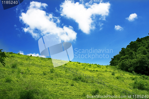 Image of north mountains and green grass 