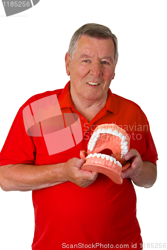 Image of Senior with teeth model