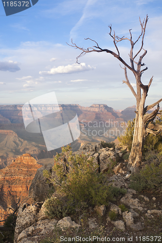 Image of Beautiful Grand Canyon Landscape View