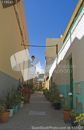 Image of Flower street