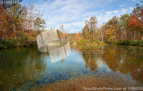 Image of autumn leaves and trees on river