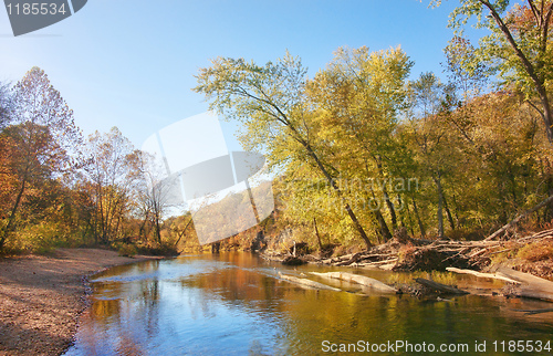 Image of autumn leaves and trees on river