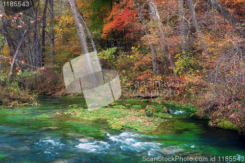 Image of autumn leaves and trees on river