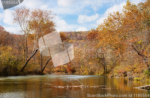 Image of autumn leaves and trees on river