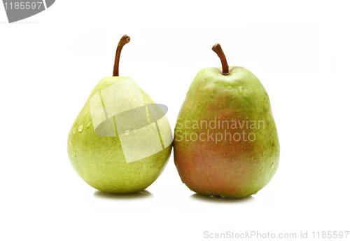 Image of Two green pears