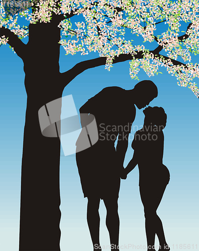 Image of Tradition kiss under cherry bloom