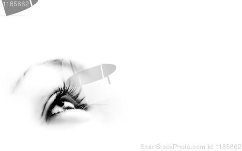 Image of Women's eye - looking forward.Isolated on white.