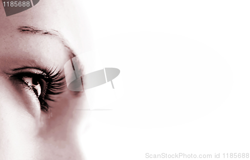 Image of Women's eye - looking forward.Isolated on white.