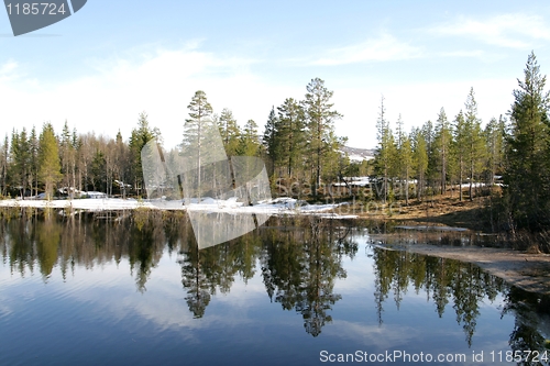 Image of Reflective tarn