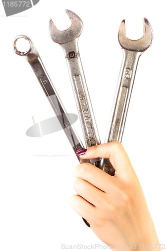 Image of Hand of a girl holding several spanners 