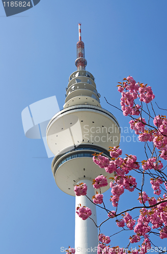 Image of hmabug tv tower