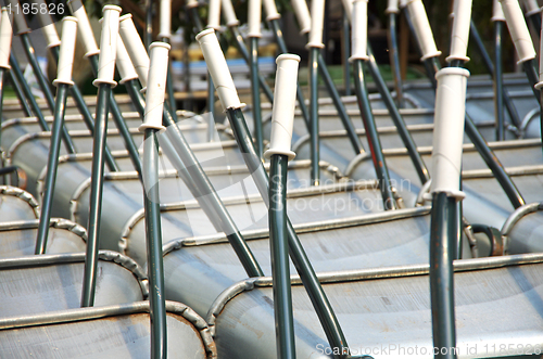 Image of pushcarts