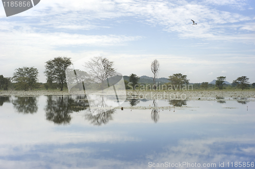 Image of Landscape of Sri Lanka