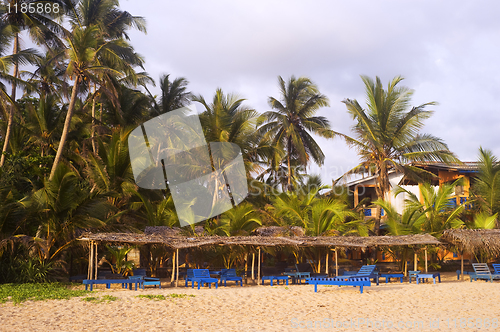 Image of Tropical resort