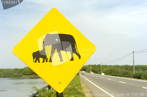 Image of Elephant Sign