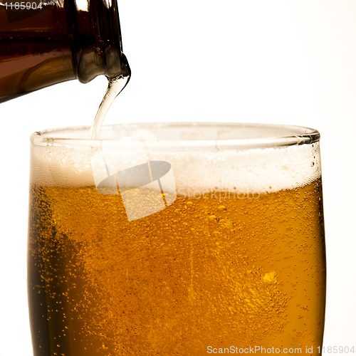 Image of Beer