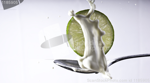 Image of lime splash