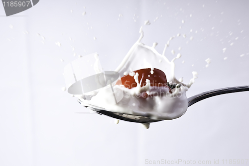 Image of Splash