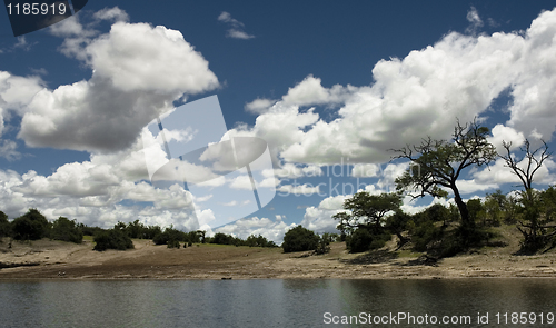 Image of African Sky