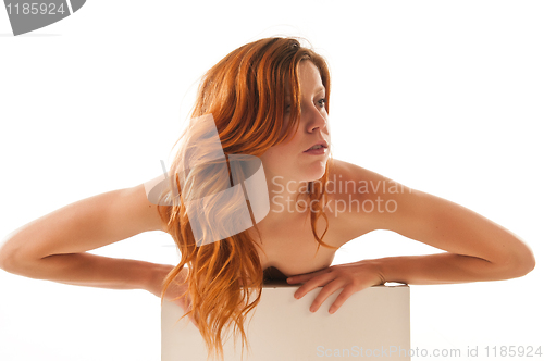 Image of Redhead