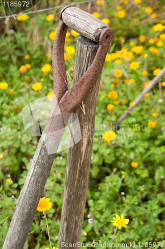 Image of Rusty shovel