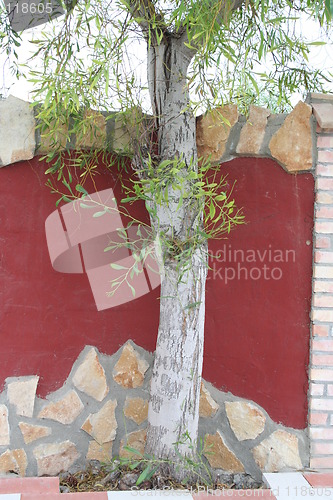 Image of Beautiful decoration of  wall