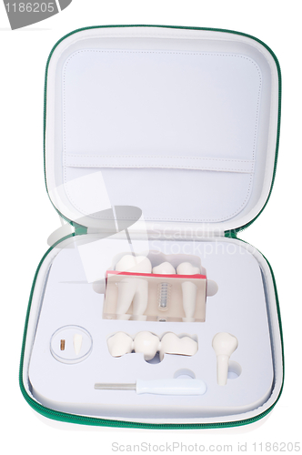 Image of Dental model case