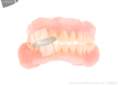 Image of Acrylic denture